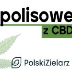NATURALNE Czopki Propolisowe z CBD 12 szt. HEMOROIDY | INFEKCJE Polski Zielarz